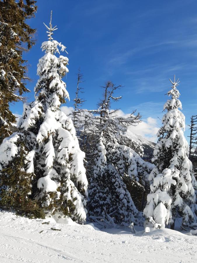 Apartmany Fortuna Vysoké Tatry Buitenkant foto